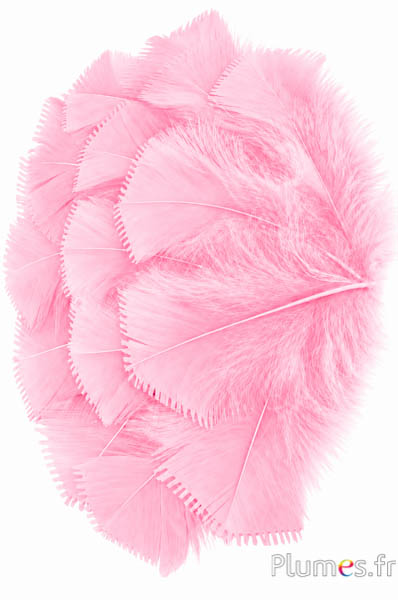 Kalkoen - 6-8 cm - tedere roos